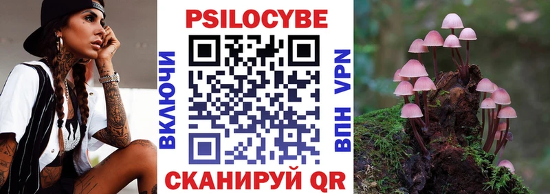 где можно купить   сайты даркнета официальный сайт  Галлюциногенные грибы GOLDEN TEACHER  Курильск 